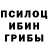 Галлюциногенные грибы мухоморы Inqoherent