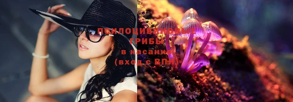 гидропоника Армянск