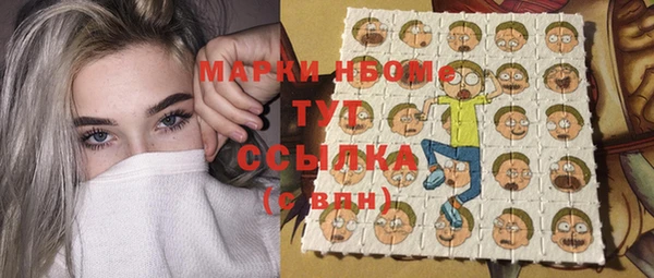 сатива Надым
