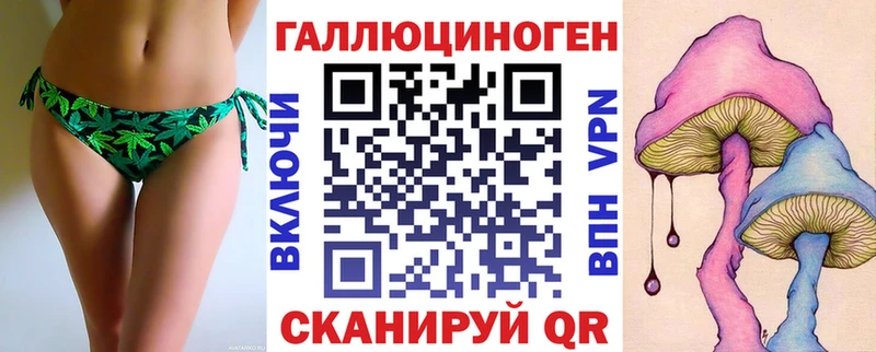 купить   Калуга  Галлюциногенные грибы Cubensis 